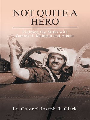 cover image of Not Quite a Hero